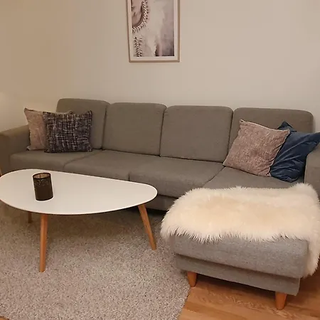Apartment Praktisk Pa 51m3 Leies Ut Trondheim